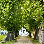 Casa vacanze Feel At Gelskov God's Main House